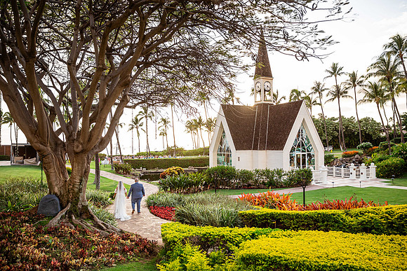 WebRes-Maui-Wedding-Wailea-169