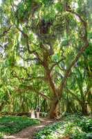 WebRes-MaddyLPhoto-Maui-Portraits-005