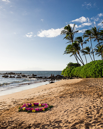 Rob-Ashley-Maui-Wedding-1
