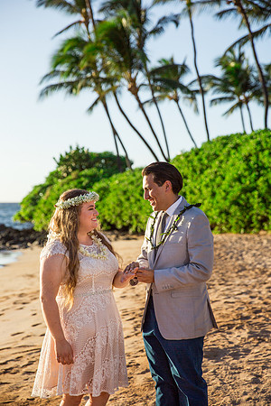 Rob-Ashley-Maui-Wedding-62