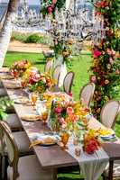 Dellables-Colorful-Tropicals-036
