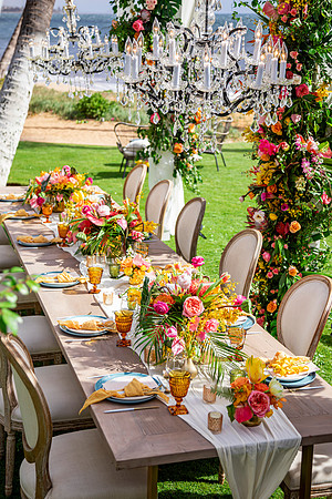 Dellables-Colorful-Tropicals-036