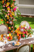 Dellables-Colorful-Tropicals-035