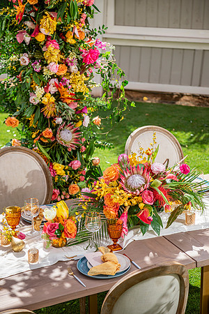 Dellables-Colorful-Tropicals-035