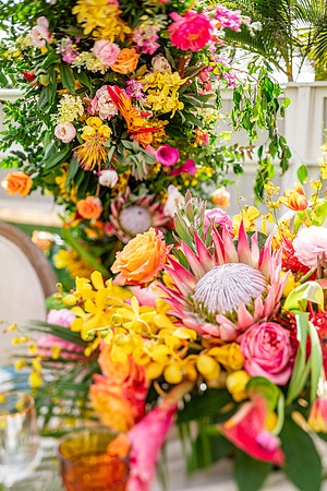 Dellables-Colorful-Tropicals-021