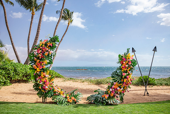 Dellables-Colorful-Tropicals-030