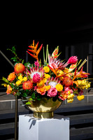 Dellables-Colorful-Tropicals-026