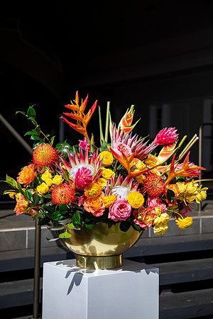 Dellables-Colorful-Tropicals-026