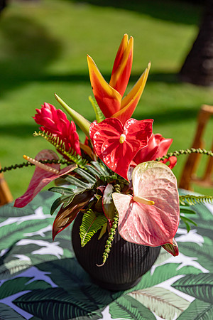 Dellables-Tropical-Florals-MaddyLPhoto-004