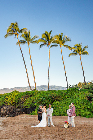WebRes-Maui-Beach-Wedding-MaddyLPhoto-090