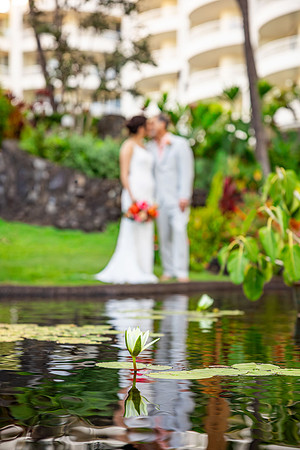 WebRes-Maui-Beach-Wedding-MaddyLPhoto-209