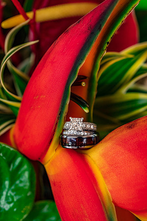 GrandWailea-Maui-Wedding-MaddyL-5