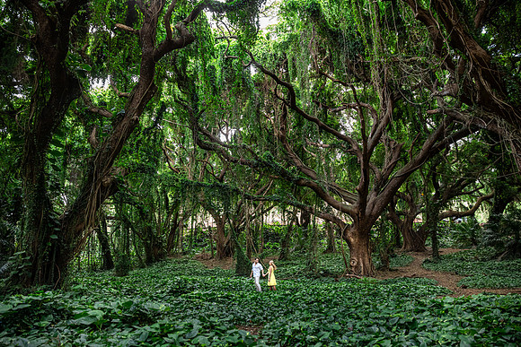 Tropical jungle Maui Hawaii adventure couples session. professional portraits