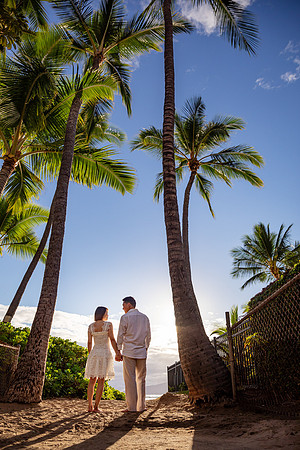 palm trees at the beach family portrait session