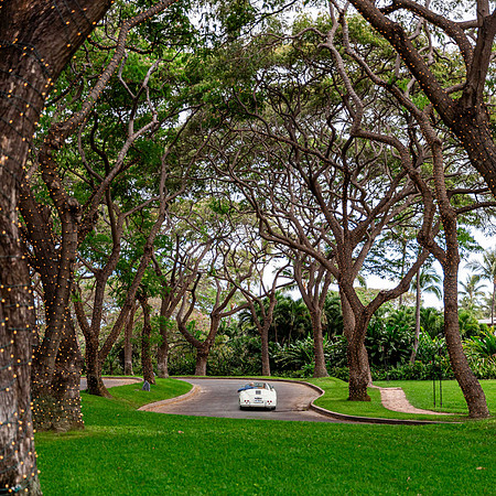 WebRes-Maui-Wedding-Wailea-148