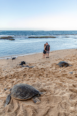 Beach-Proposal-MadelynneLorrainePhoto-41