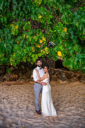 WebRes-Maui-Elopement-MakenaCove-079