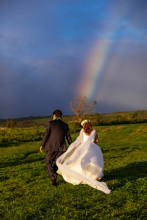 WebRes-MauiUpcountry-Reception-202