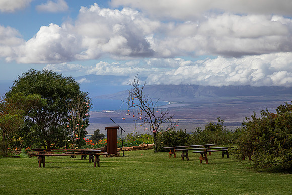 WEB-Maui-Wedding-by-Madelynne-Lorraine-040