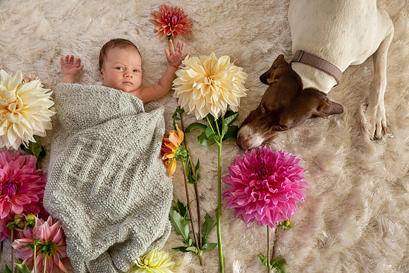 Maui-Newborn-Photography-007