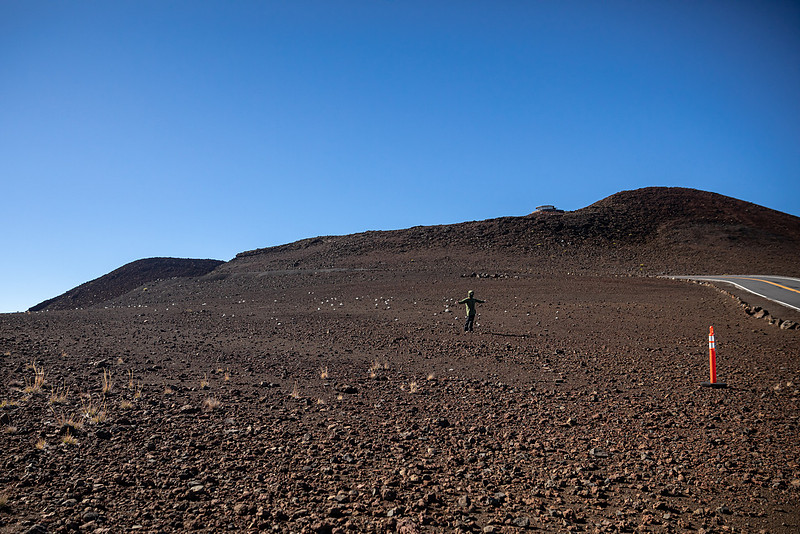 Silversword-Planting-Haleakala-Oct3020-013