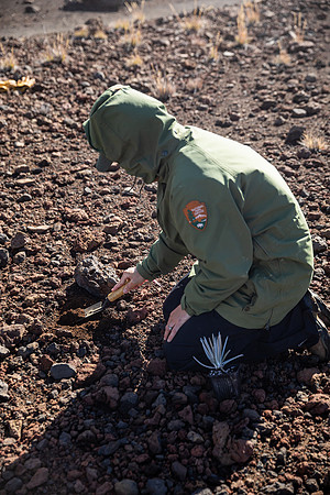 Silversword-Planting-Haleakala-Oct3020-018