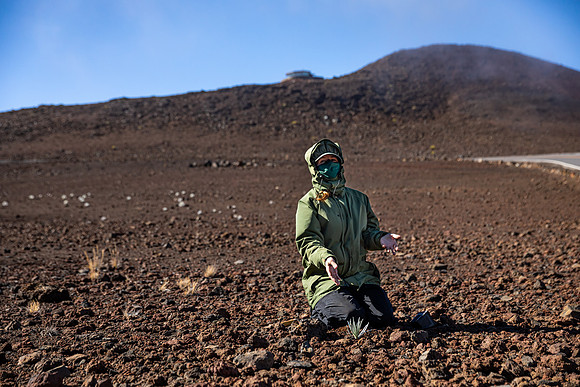 Silversword-Planting-Haleakala-Oct3020-027