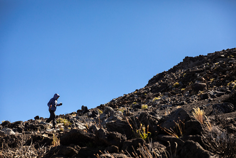 Silversword-Planting-Haleakala-Oct3020-040