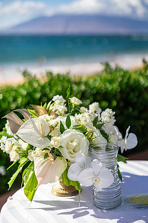 WebRes-Maui-Wedding-MaddyLPhoto-149