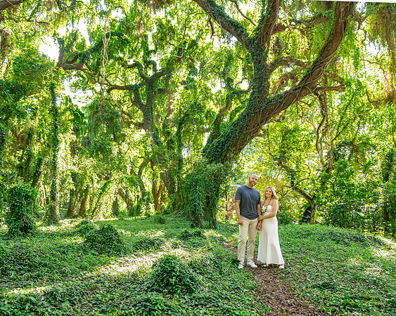 WebRes-MaddyLPhoto-Maui-Portraits-060
