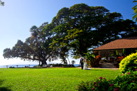 destination-wedding-photographers-hawaii-maui-olowalu-0091
