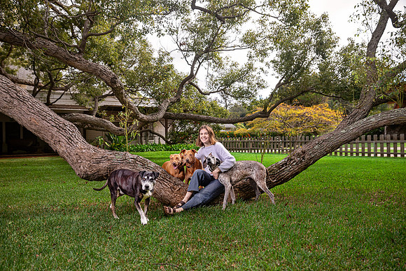WebRes-Lyons-Pet-Ohana-001