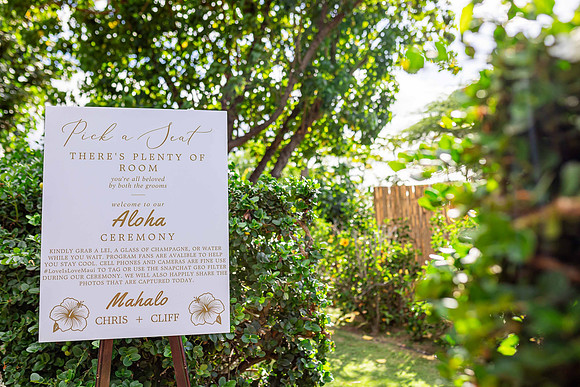 WebRes-Maui-Wedding-MaddyLPhoto-164